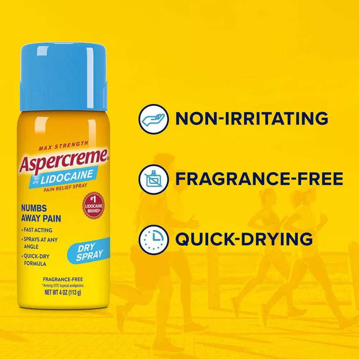 Aspercreme Pain Relief Dry Spray