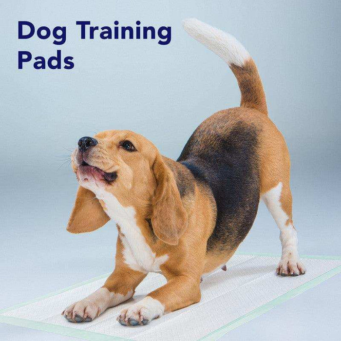 ProHeal Premium Disposable Chucks Underpads 30" x 36" - Shop Home Med