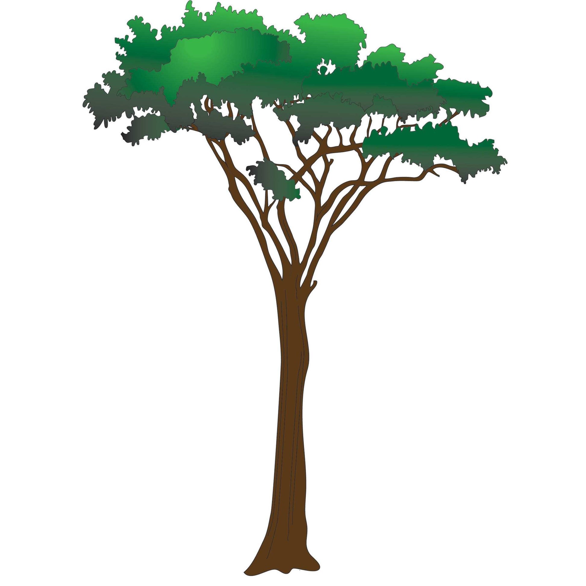 Clinton Complete Graphics Series Pediatric Wall Sticker