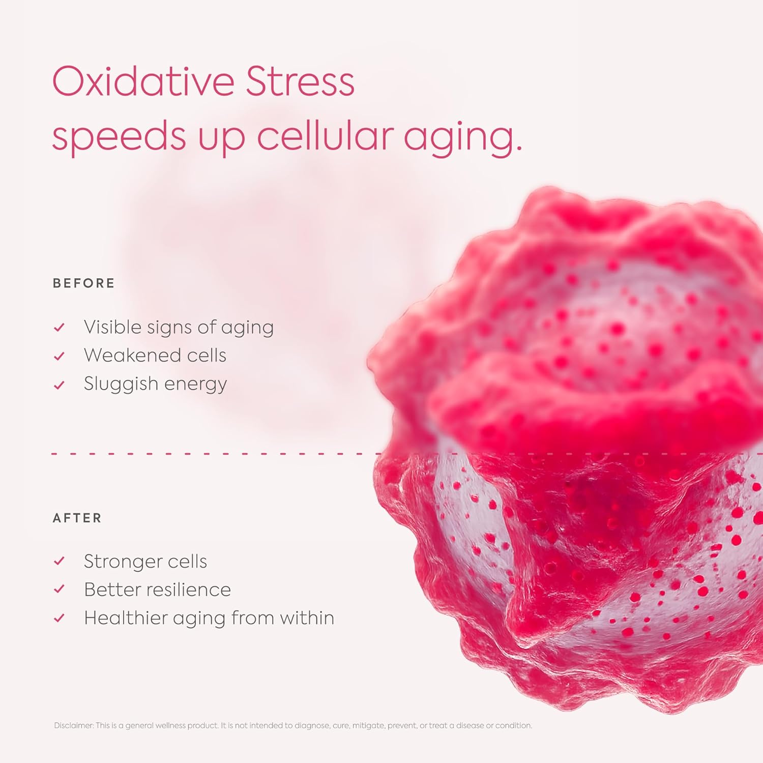 Diagnox Oxidative Stress Urine Test