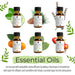 Pursonic Aromatherapy Lovers - Triple 14-Pack Essential Oils Collection shophomemed