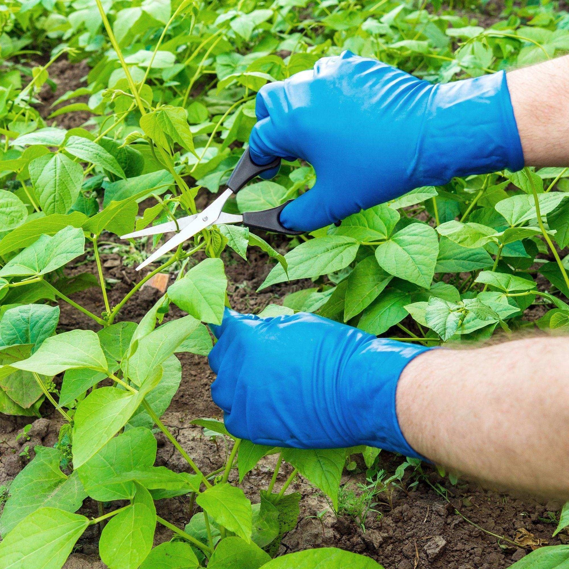 FifthPulse Medical Exam Blue Nitrile Gloves - 10 Boxes of 100 Ct - Shop Home Med