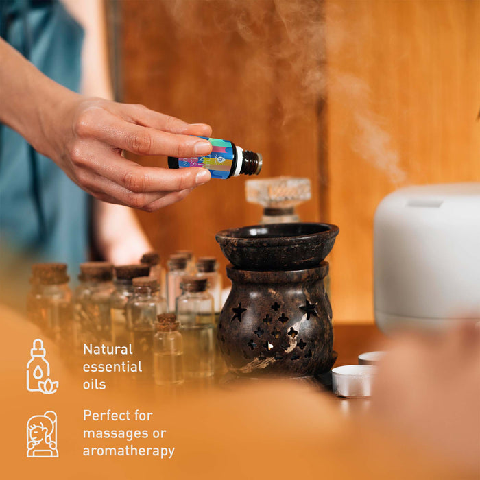 Pursonic Aromatherapy Bath Bombs & Essential Oils Gift Set shophomemed