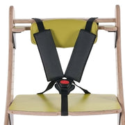 Smirthwaite 5-Point Harness for use with Juni Booster
