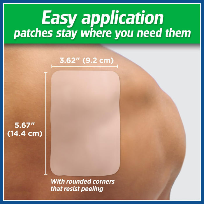 Salonpas 8-Hour Pain Relieving Patch Large - 6 Ct