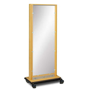 Clinton Mobile Treatment Adult Mirror