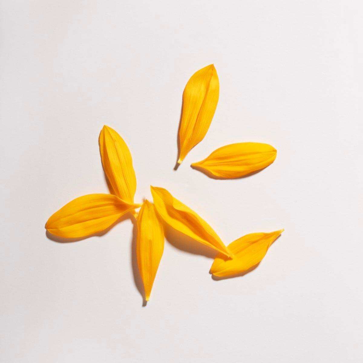 Attn Grace Daily Renew Body Oil