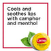 Carmex Medicated Moisturizing Lip Balm