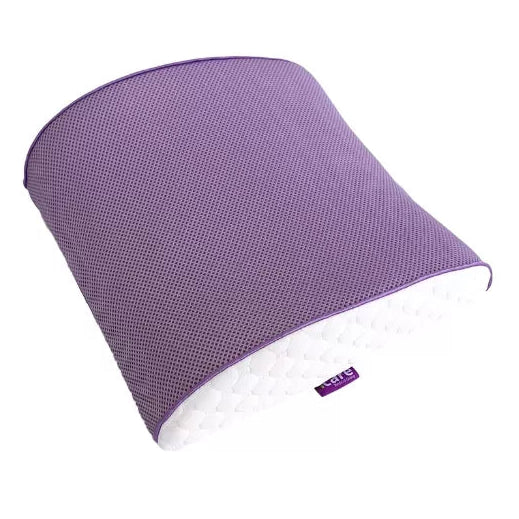 iCare Back Cushion