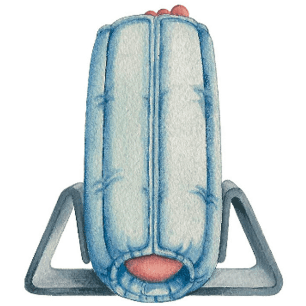 Bilateral Anti-Rotation Gripper shophomemed