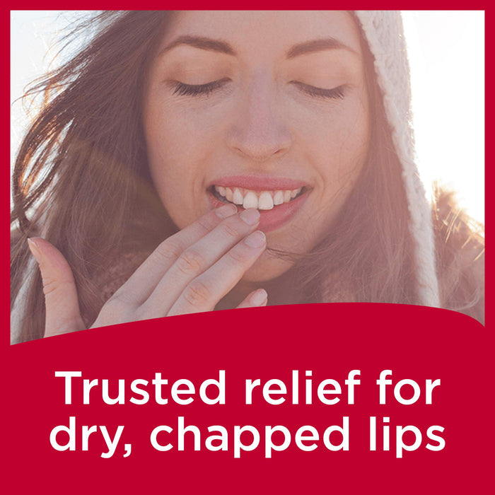 Carmex Medicated Moisturizing Lip Balm