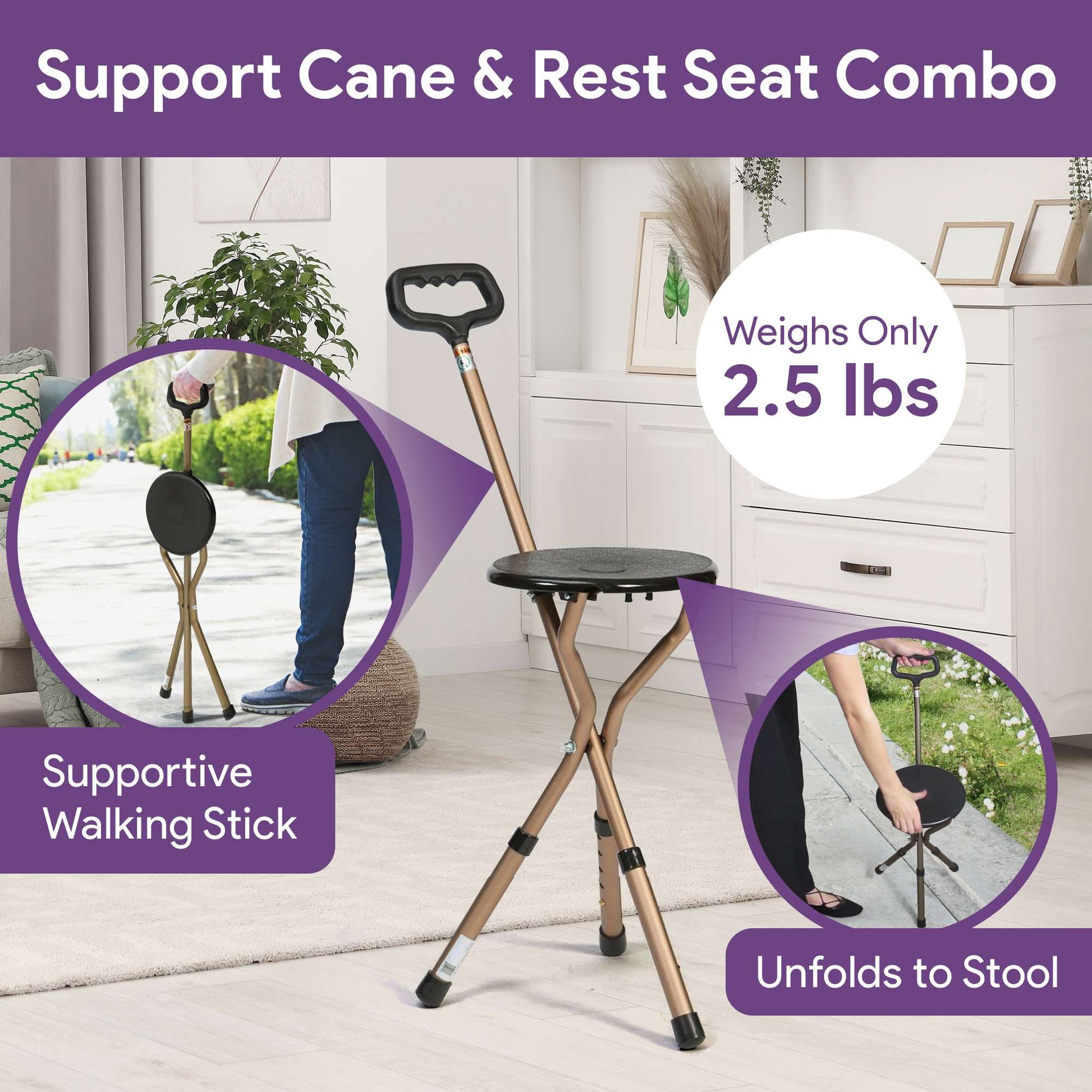 Folding Cane with Seat shophomemed