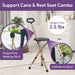 Folding Cane with Seat shophomemed