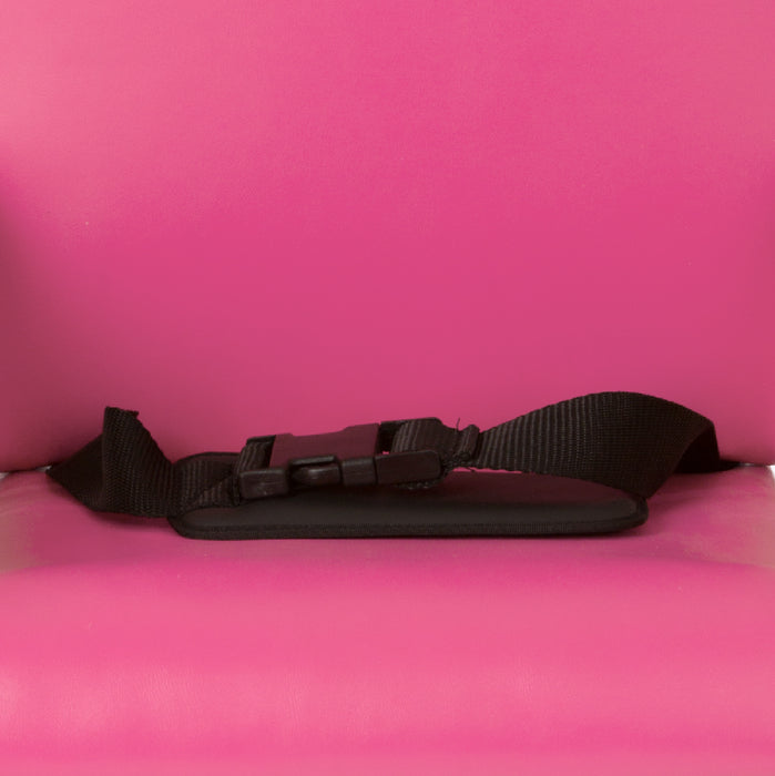 Smirthwaite Padded Lapstrap