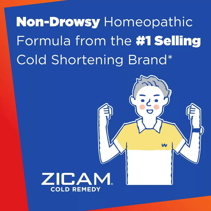 Zicam Homeopathic Cold Remedy Medicated Fruit Drops