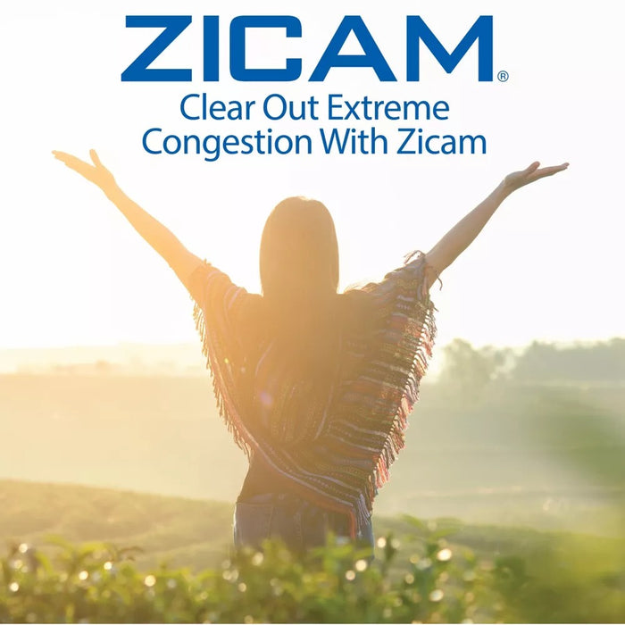 Zicam Extreme Congestion Relief No-Drip Nasal Spray - Soothing Aloe Vera