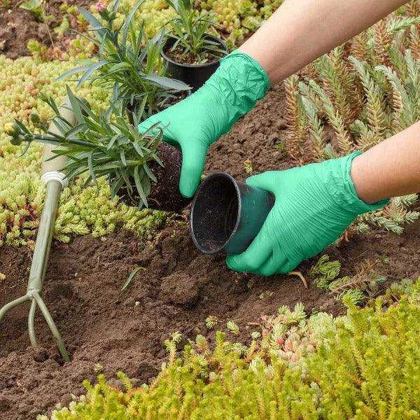 FifthPulse Biodegradable Disposable Nitrile Gloves Green – 150 Count - Shop Home Med