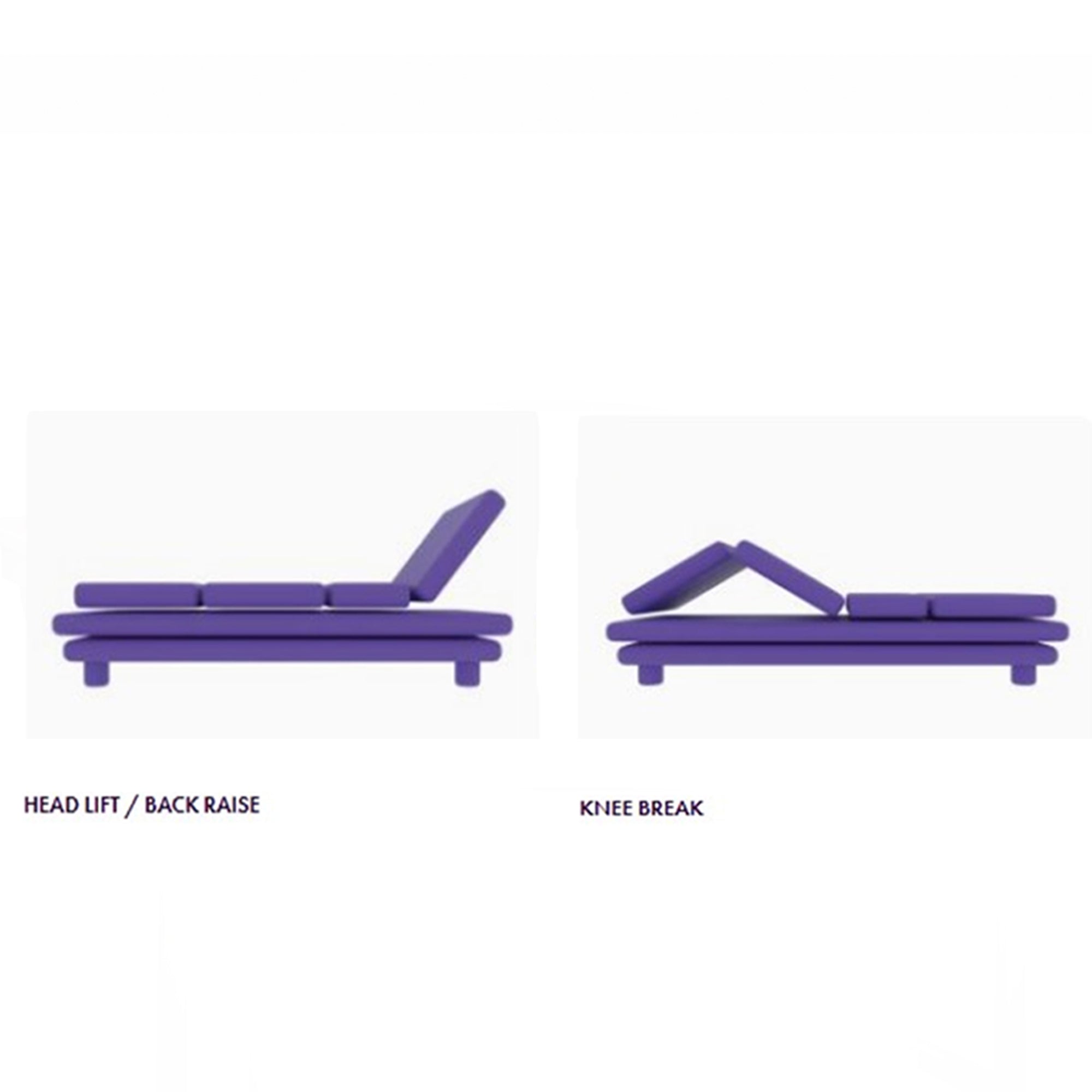 iCare Medical IC111 Homecare Hospital Bed