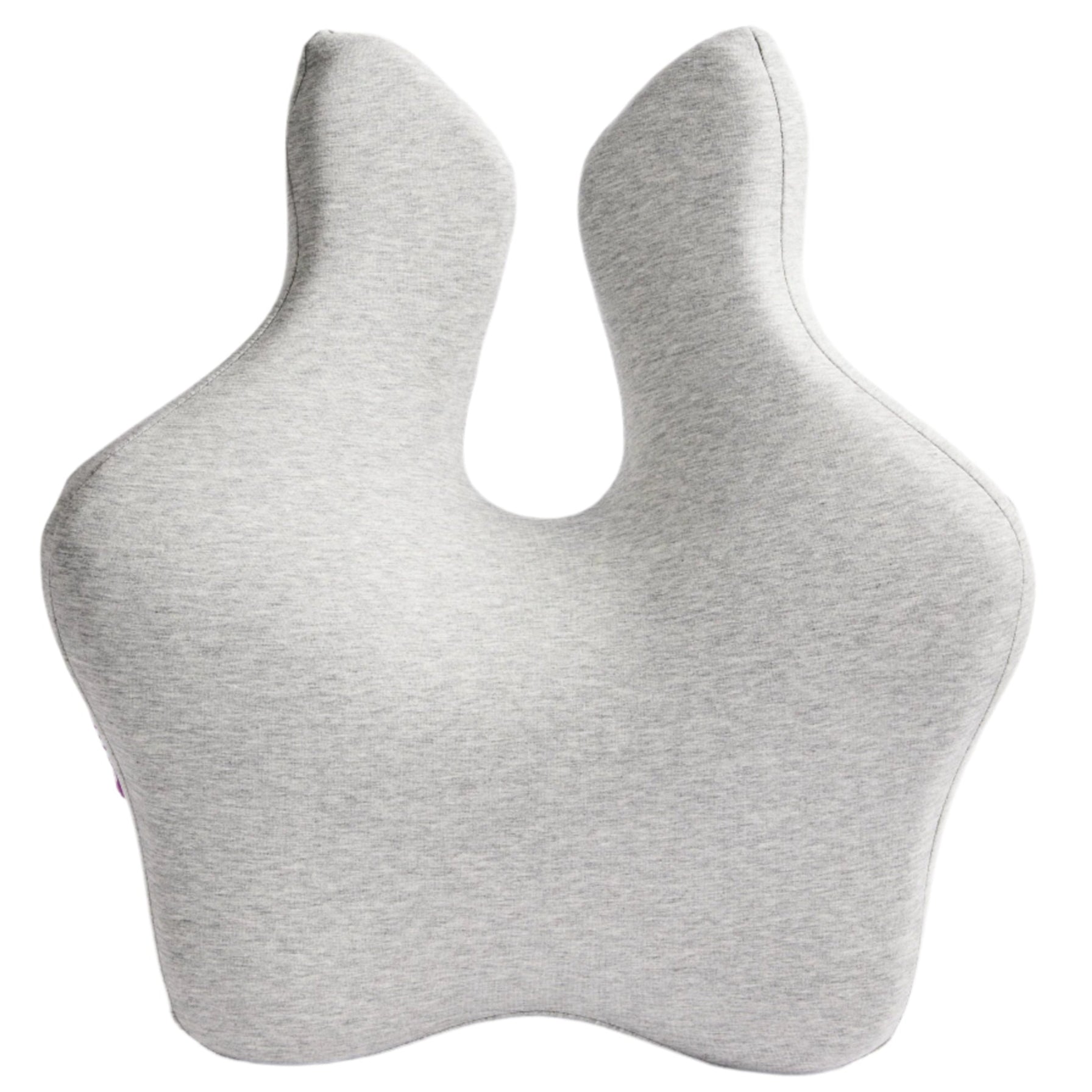 iCare Reform Full Back Support