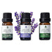 Pursonic 100% Pure Essential Oils Set Premium Aromatherapy