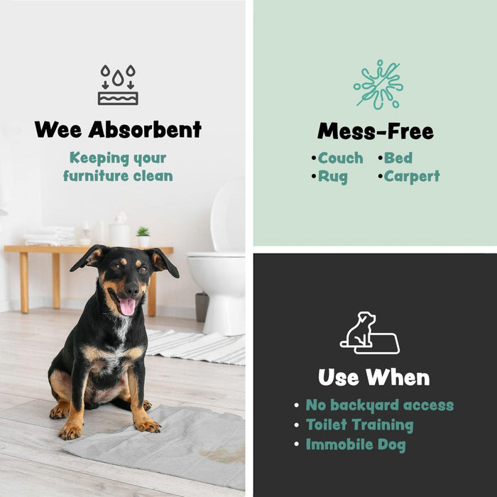 Bark & Clean Medium Dog Disposable Training Pads- 23" x 23" - Shop Home Med