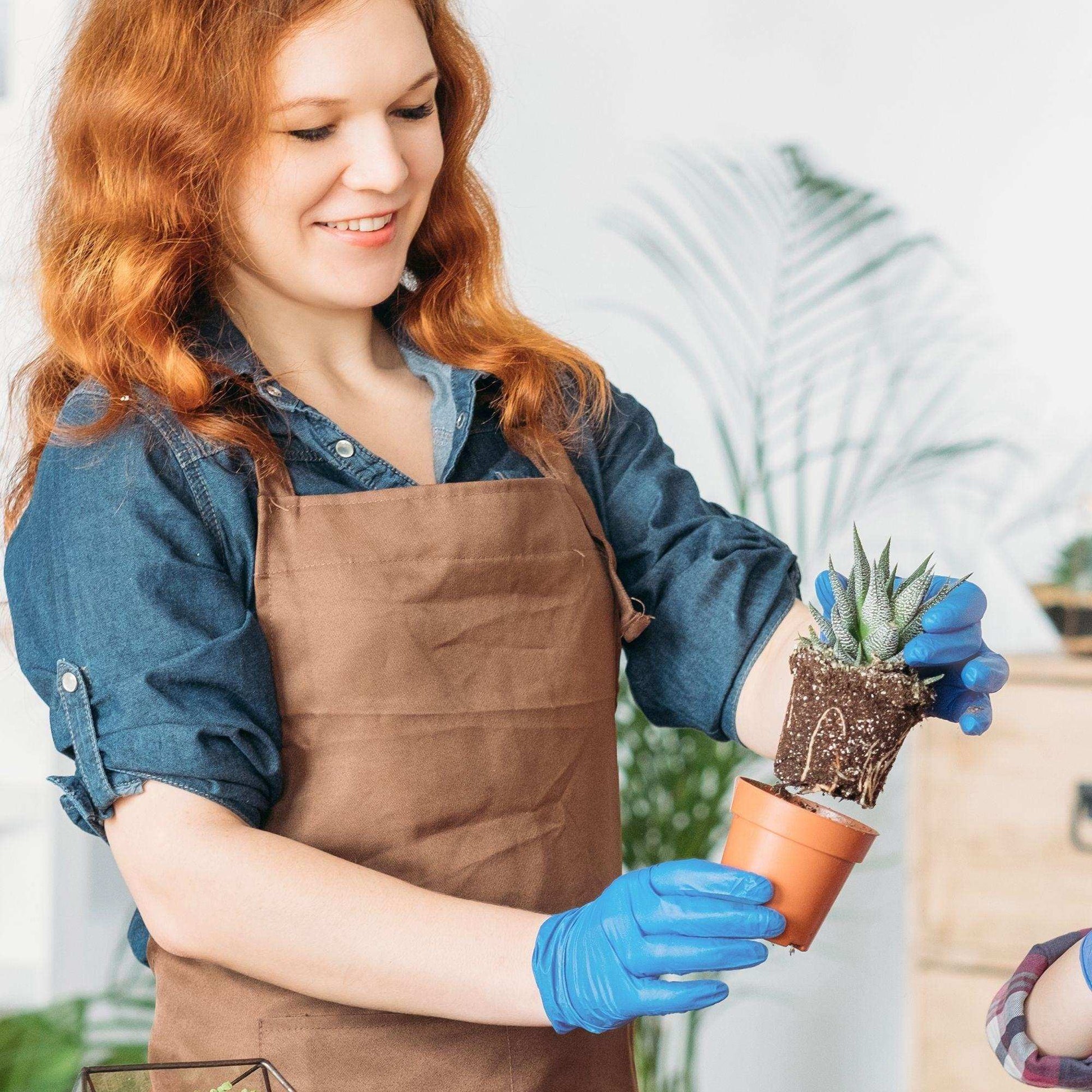 FifthPulse Medical Exam Blue Nitrile Gloves - 10 Boxes of 100 Ct - Shop Home Med