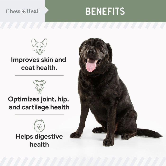 Chew + Heal 4-IN-1 Vitamins and Minerals To Improve Support - Shop Home Med