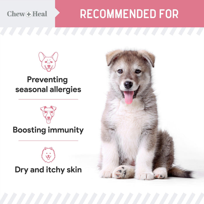 Chew + Heal Dogs Allergy Chews Relief For Itchy Skin - Shop Home Med