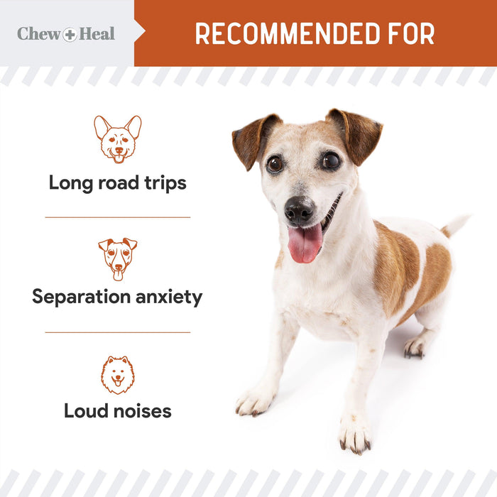 Chew + Heal Dogs Anxiety & Stress Calming Soft Chews - Shop Home Med
