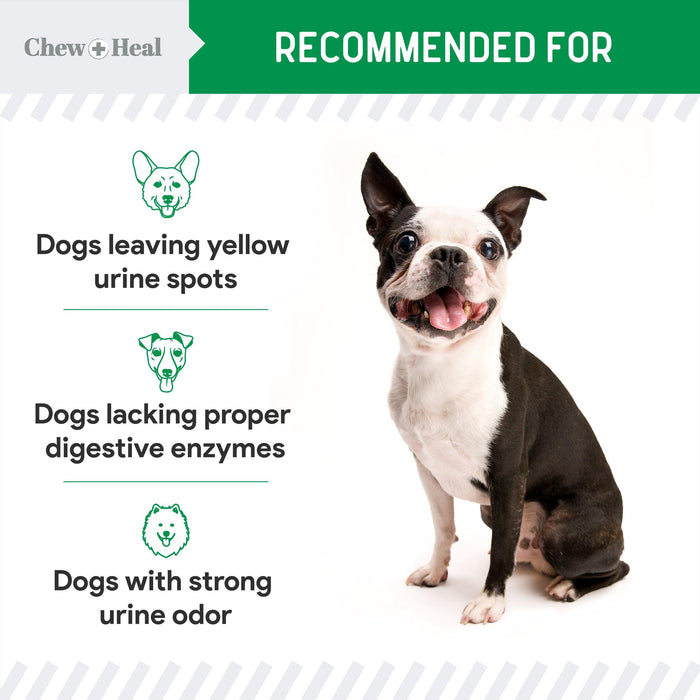 Chew + Heal Grass Saver Chews For Dogs - Shop Home Med
