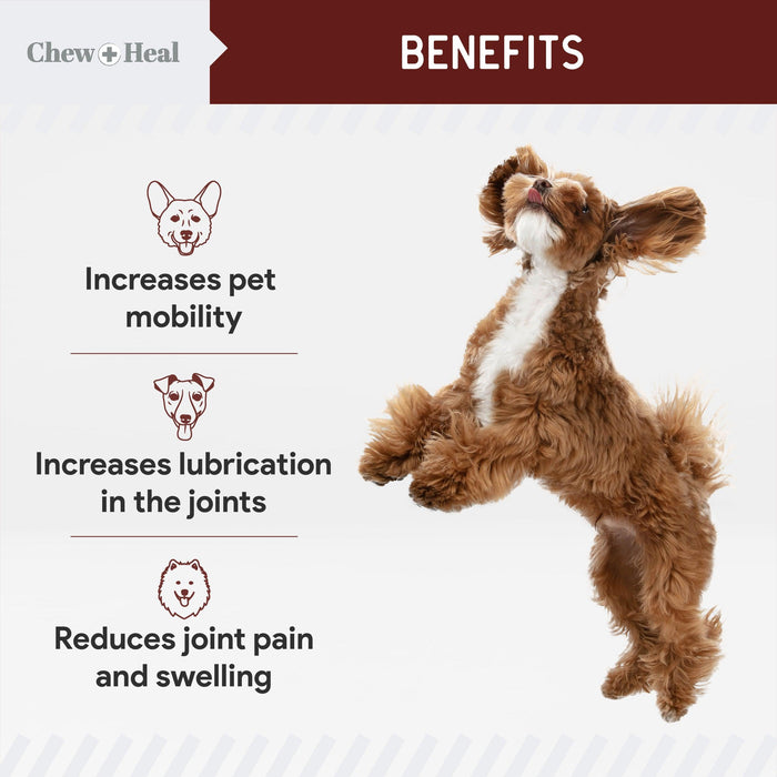 Chew + Heal Joint Supplements For Dogs and Cats - Shop Home Med