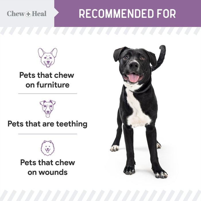 Chew + Heal No Chew Spray For Dogs - Shop Home Med