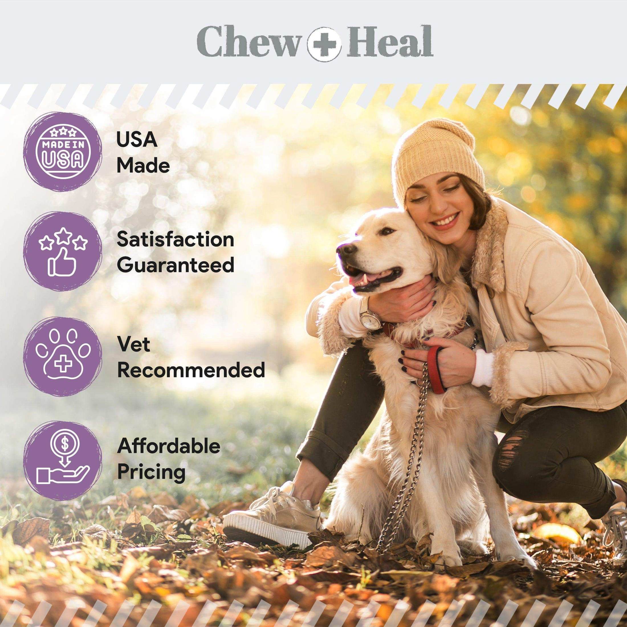 Chew + Heal No Chew Spray For Dogs - Shop Home Med