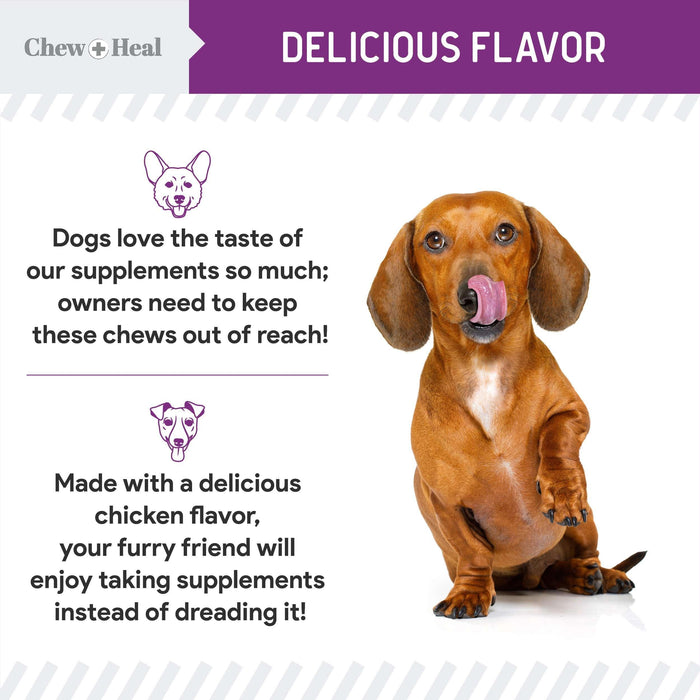 Chew + Heal No Scoot for Dogs - for Healthy Anal Gland Function - Shop Home Med