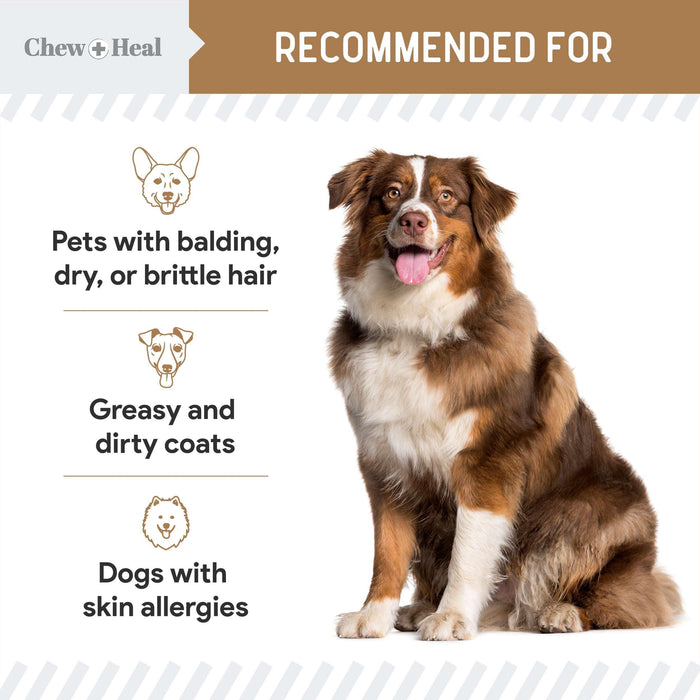 Chew + Heal Omega Skin and Coat for Dogs - 180 Chews - Peanut Butter Flavor - Shop Home Med