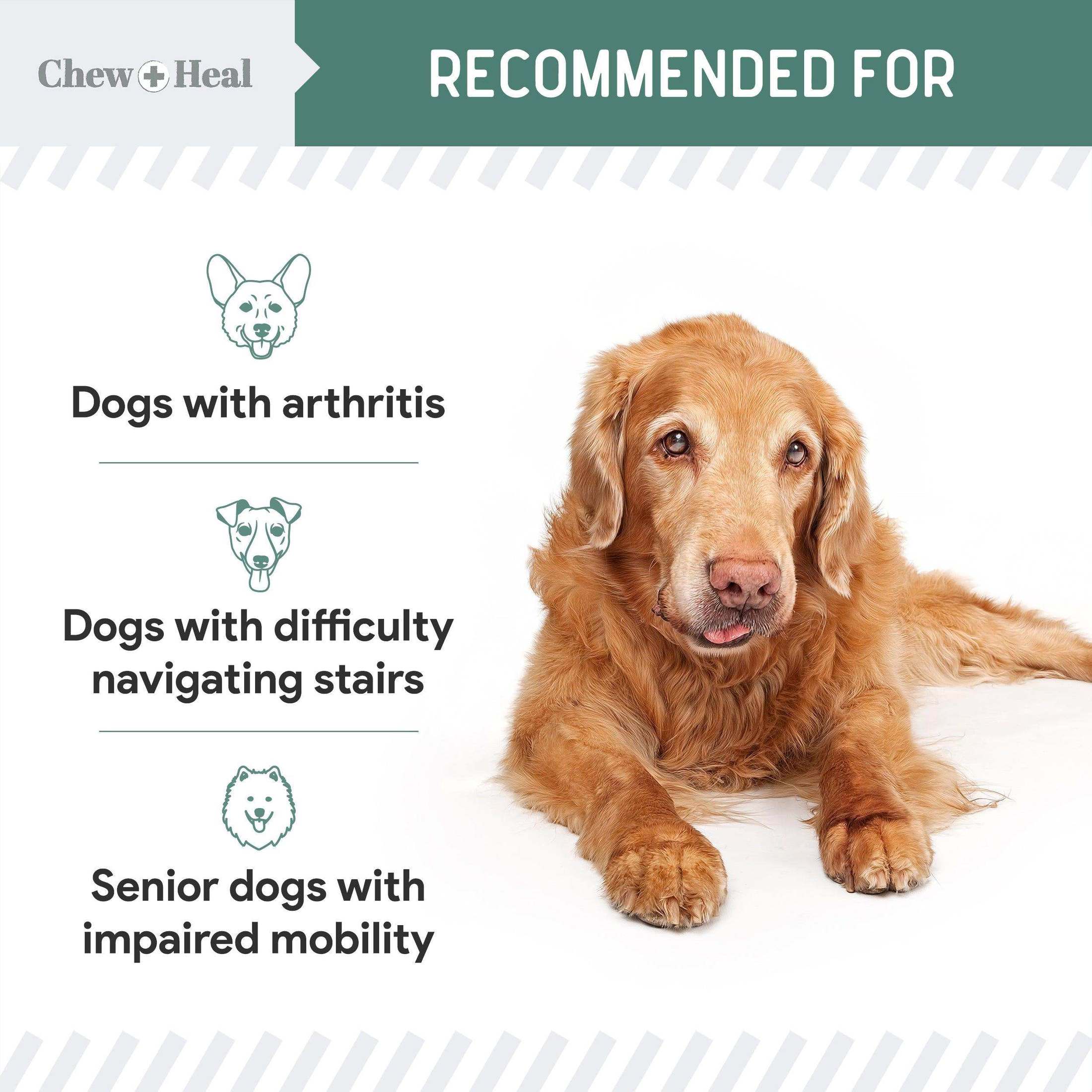 Chew + Heal Senior Hip And Joint Supplement For Dogs - Shop Home Med