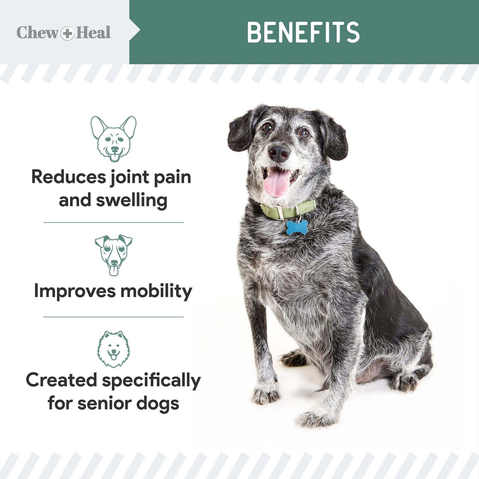 Chew + Heal Senior Hip And Joint Supplement For Dogs - Shop Home Med