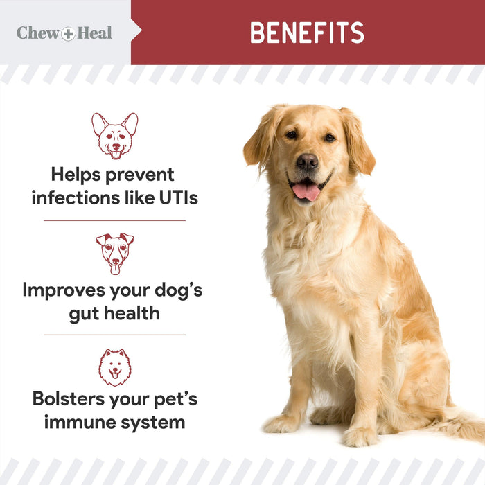 Chew + Heal UTI Treatment Cranberry Chews for Dogs - Shop Home Med