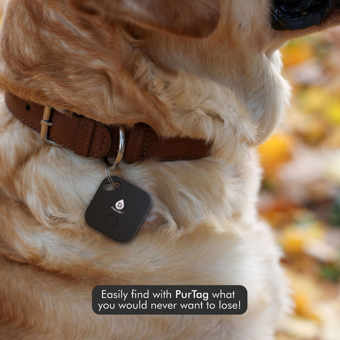 Pursonic 2 Purtag Trackers - Ultimate Solution for Keeping Tabs on Your Belongings shophomemed