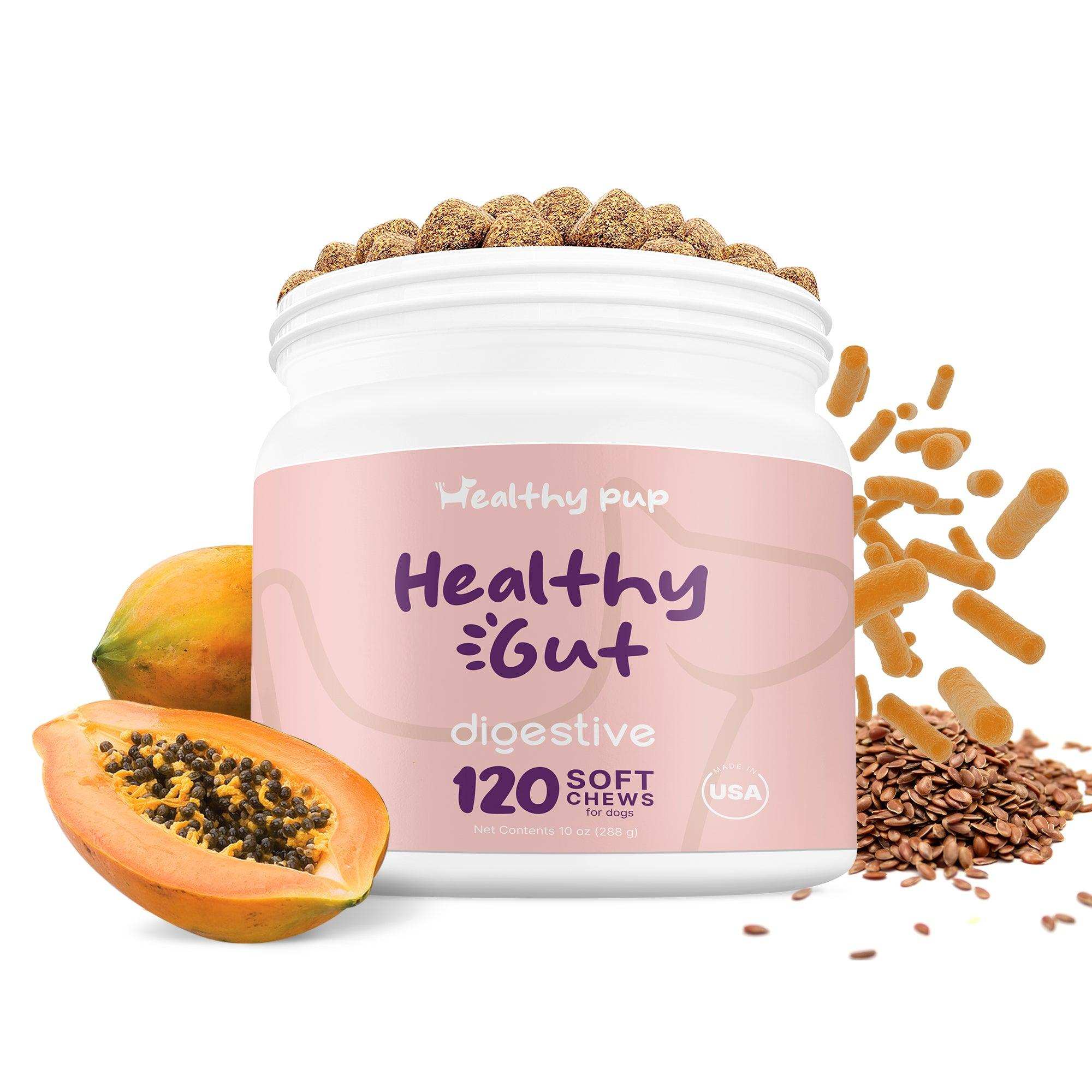 Healthy Pup Healthy Gut Digestive Aid Supplement for Dogs - Shop Home Med