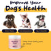 Healthy Pup Healthy Gut Digestive Aid Supplement for Dogs - Shop Home Med