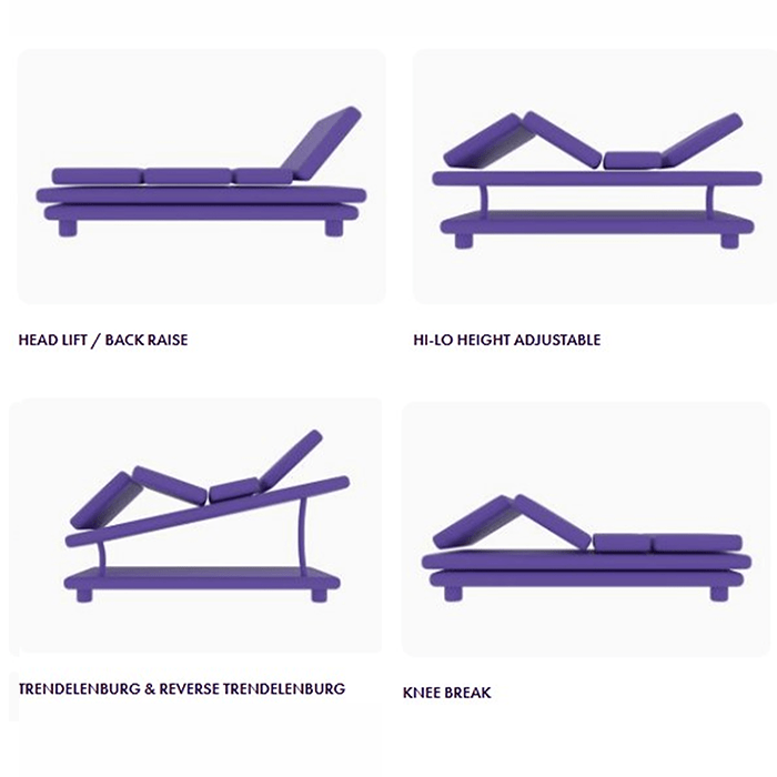 iCare Medical IC333 Homecare Hospital Bed