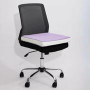 iCare Seat Cushion