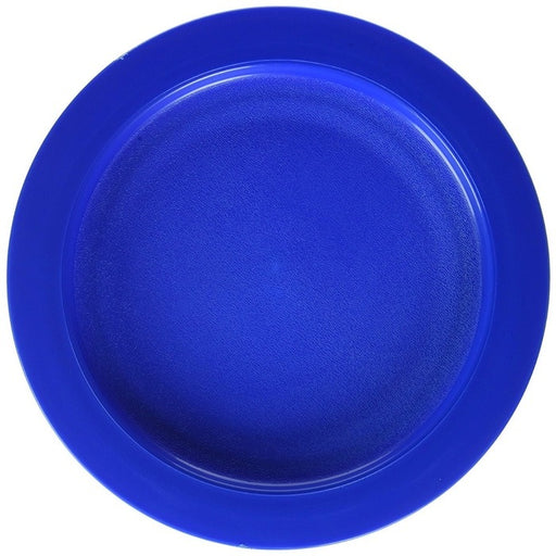 Plate with Inside Edge