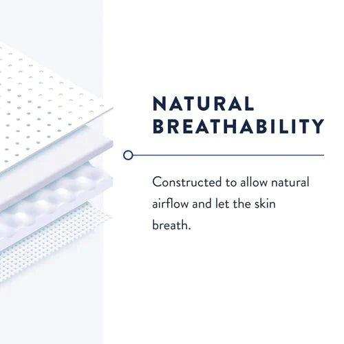 Prevail Belted Shield – Extra Absorbency - Shop Home Med