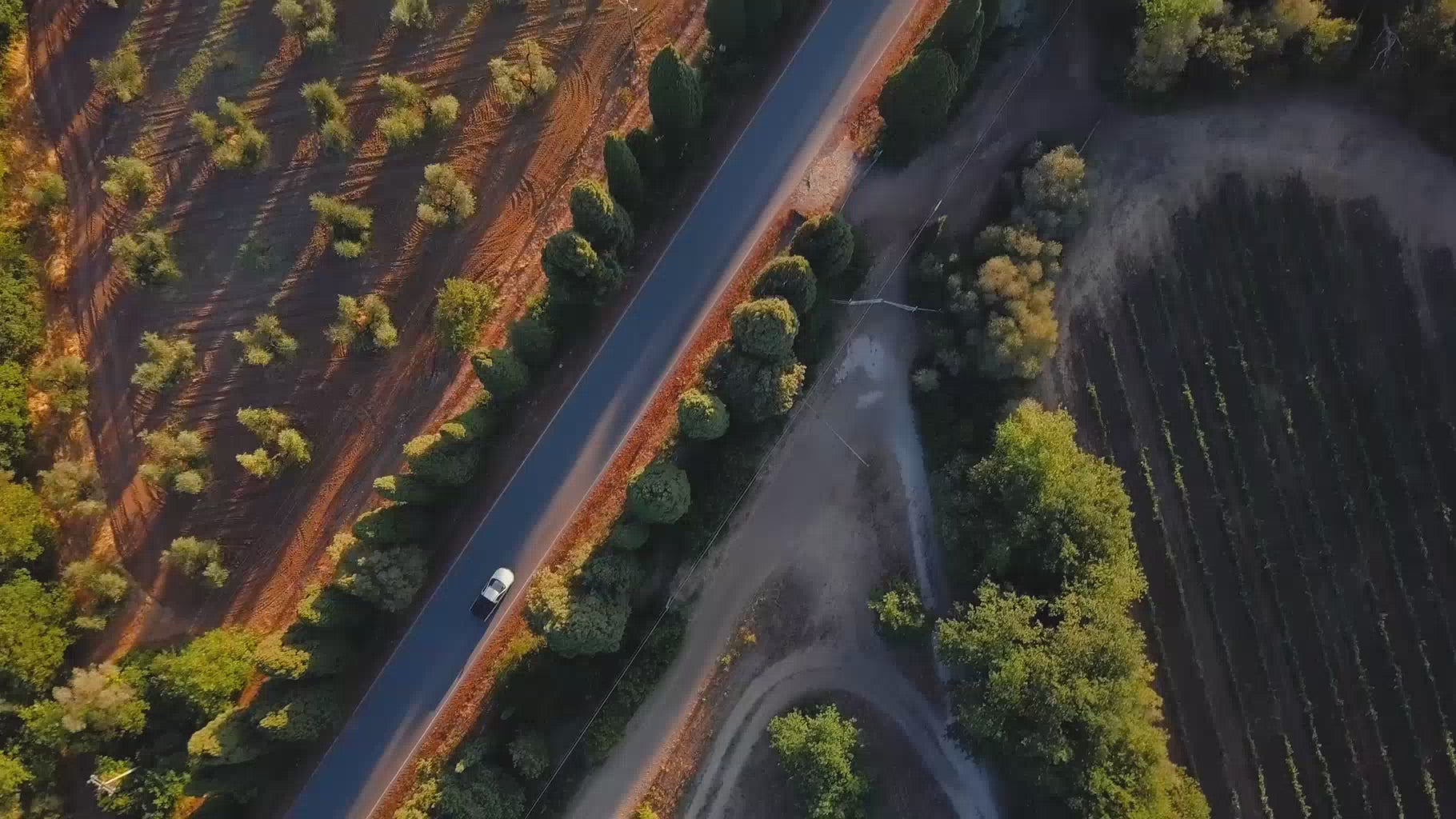 Load video: Miko MAS 2 Shiatsu Foot Massager