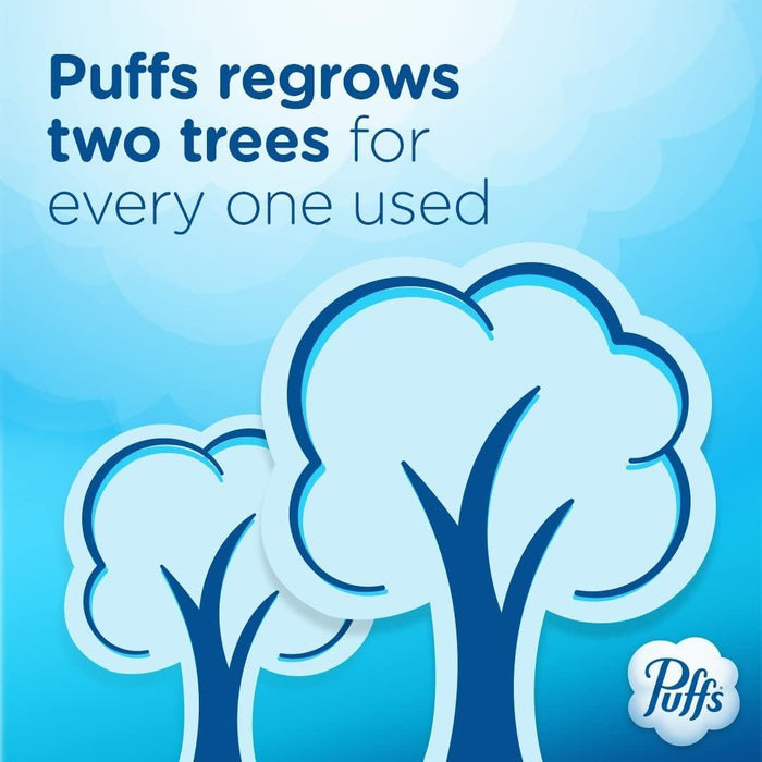 Puffs Plus Lotion with Scent of VICKS Facial Tissue - 24 Pack - Shop Home Med
