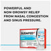 Sudafed PE Sinus Head Congestion + Pain Non-Drowsy Caplets - 20 ct. - Shop Home Med