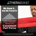 TheraBand Professional Non-Latex Resistance Bands