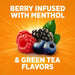 Theraflu Day Time Severe Cold & Cough, Berry Infused with Menthol and Green Tea - 6 ct. - Shop Home Med